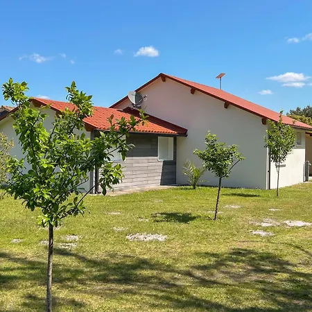 La Casa De *